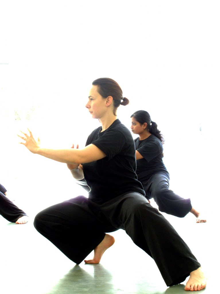 Martial Tai Chi stance training